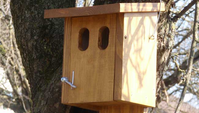 Nisthilfe für Gartenrotschwanz