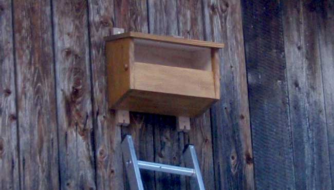 Nisthilfe für Turmfalke